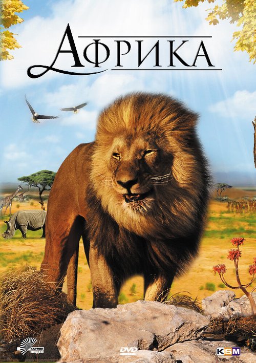 Смотреть Африка 3D онлайн в HD качестве 720p-1080p