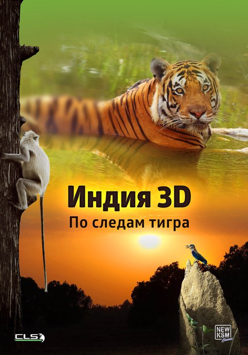 Смотреть Индия 3D: По следам тигра онлайн в HD качестве 720p-1080p