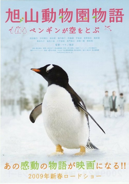 Смотреть Зooпapк Acaхиямa: Пингвины в нeбe онлайн в HD качестве 720p-1080p